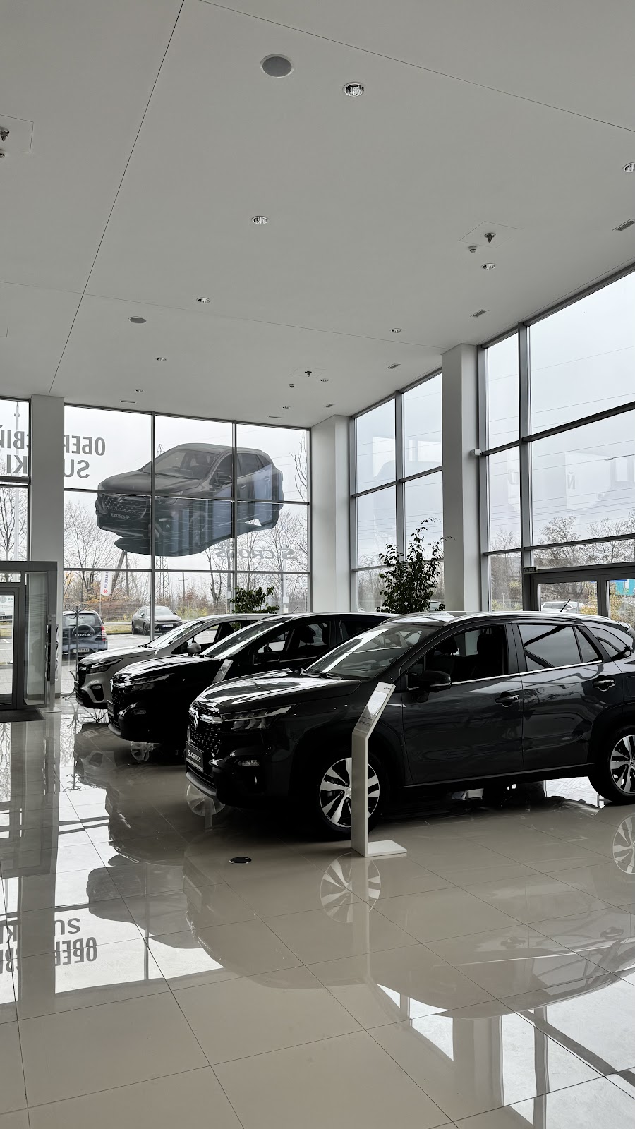 Альянс-ІФ Suzuki