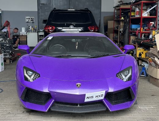 Автореанімація