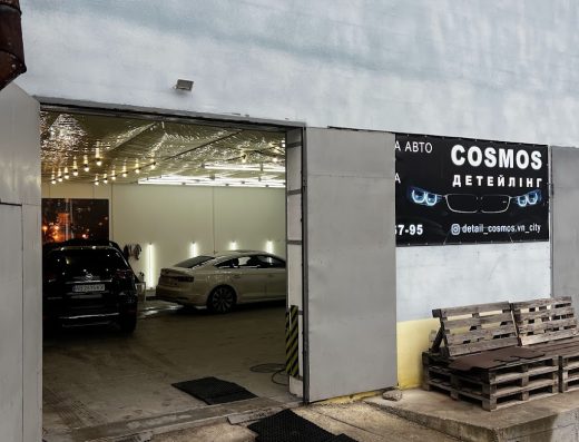 Detail_Cosmos
