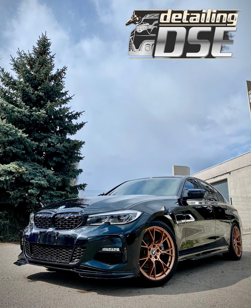 Dse detailing