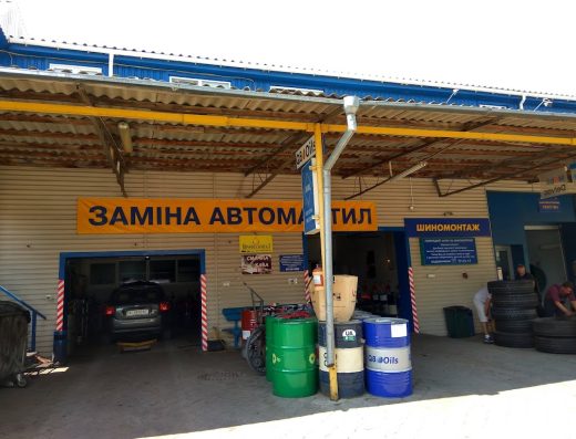 Професіонал