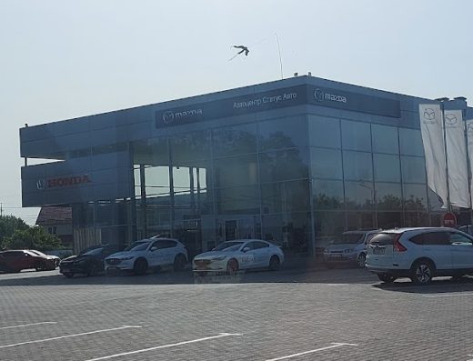 ТОВ «Автоцентр статус авто»