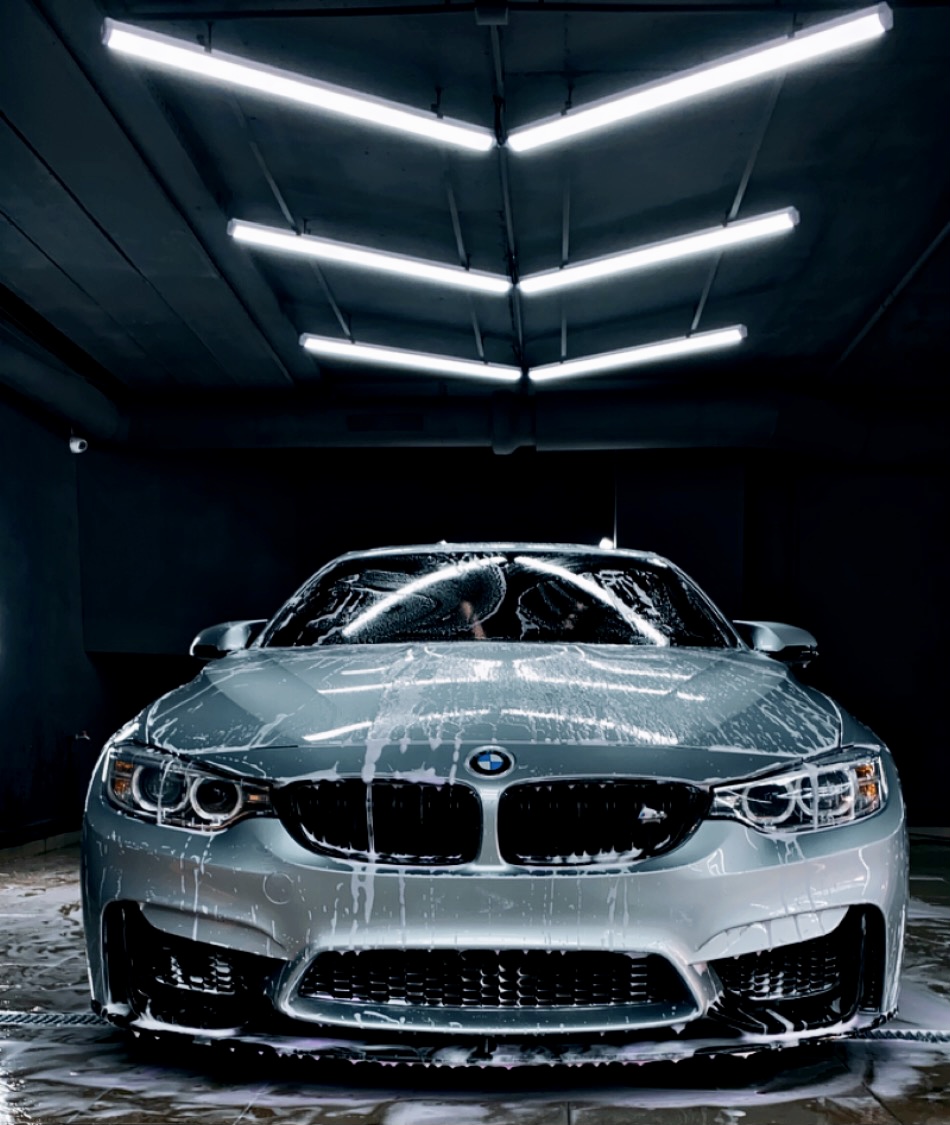 Black king