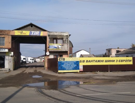 100 шин