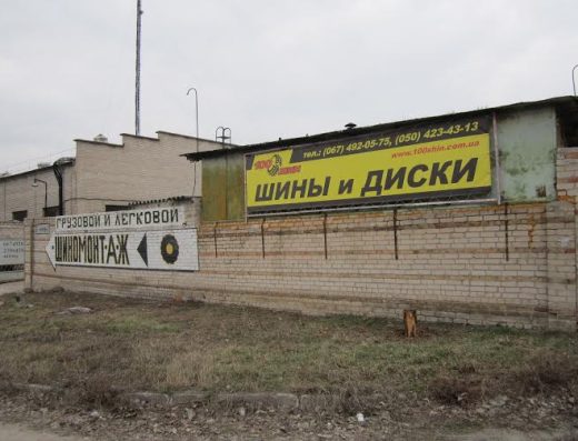 100 шин