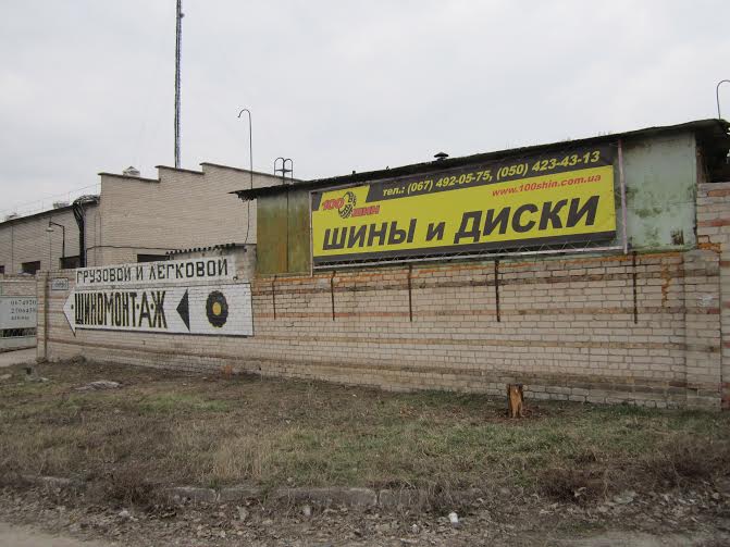 100 шин