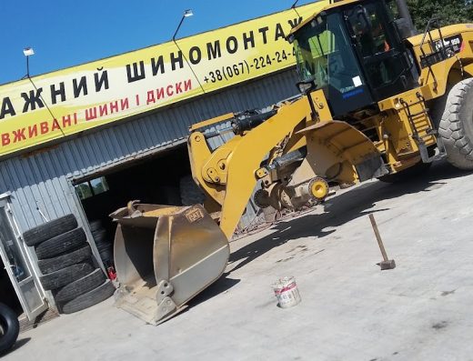 100 шин