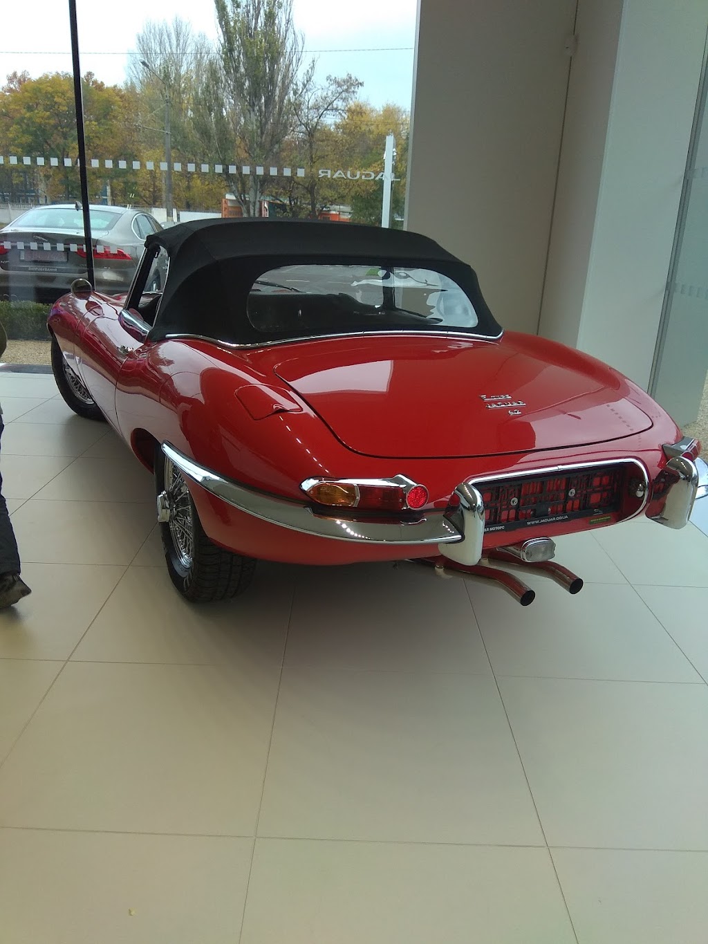 Автоцентр Royal Motors