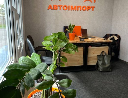 АвтоІмпорт | #лютийімпорт