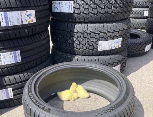 Автошини LASSA