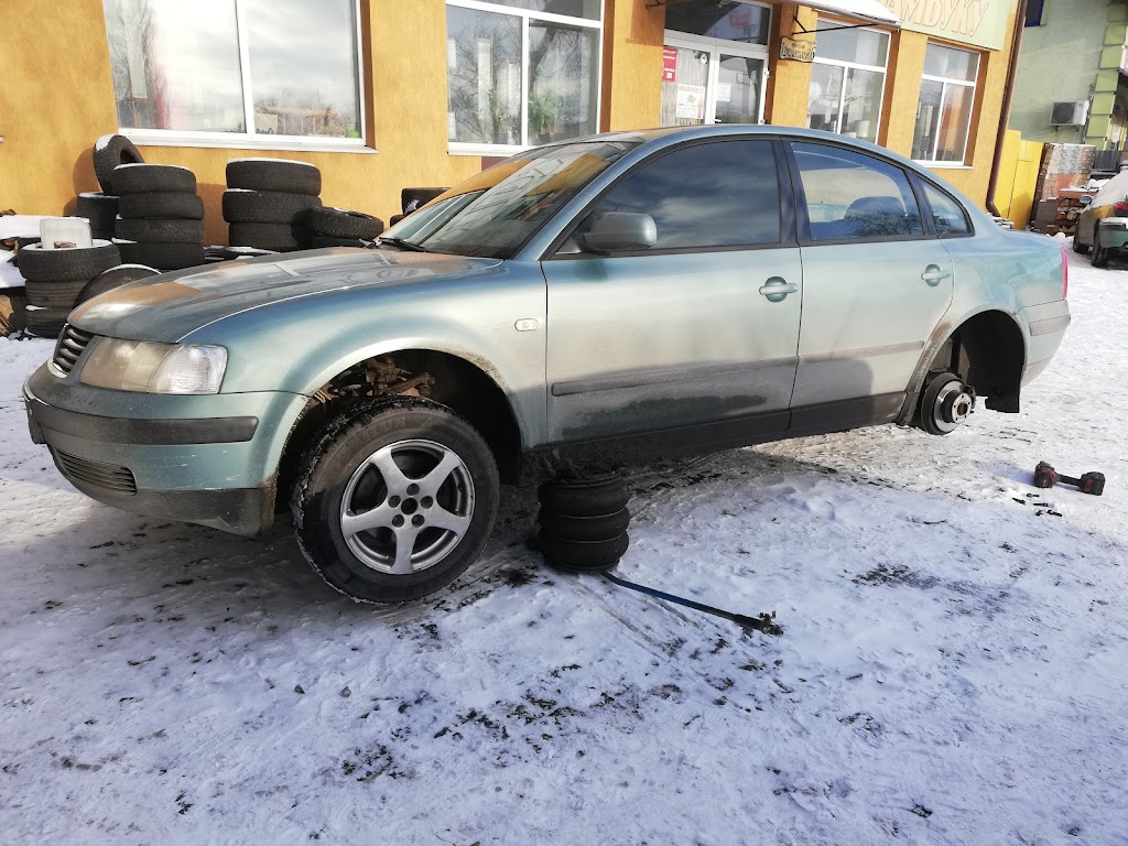 Белшина