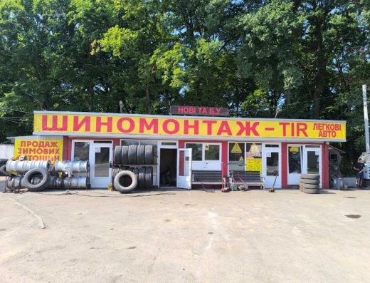 Економ шина