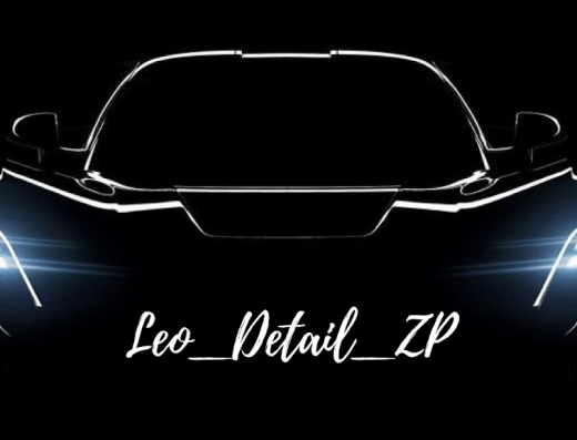 Leo_detail_zp
