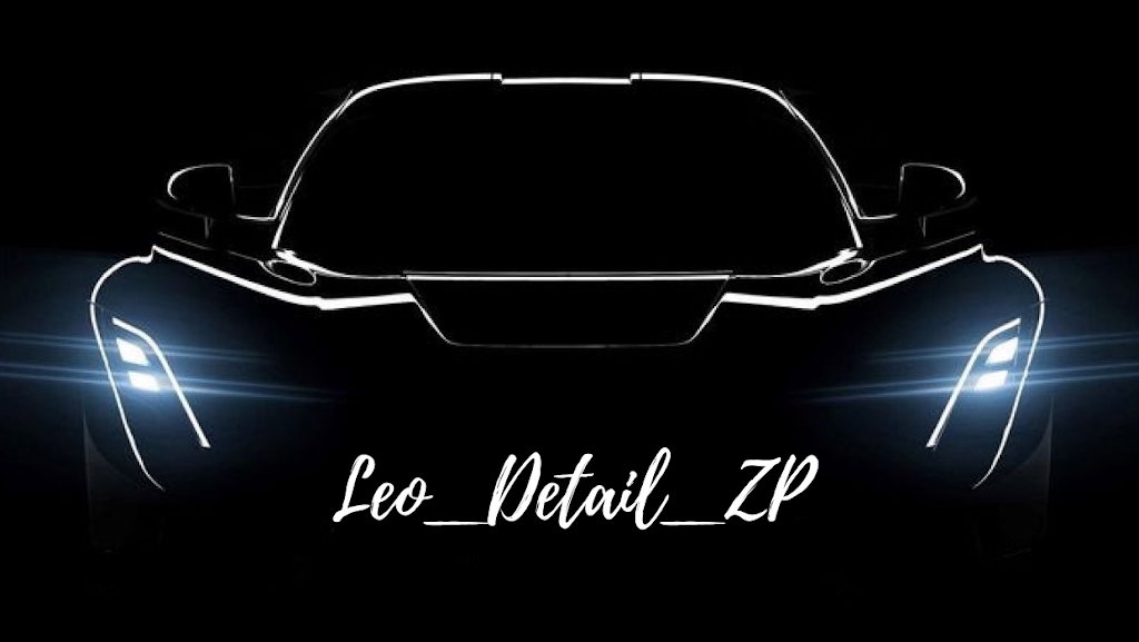 Leo_detail_zp