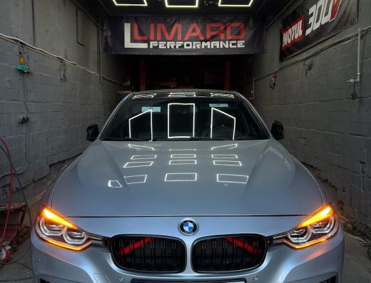 LIMARD