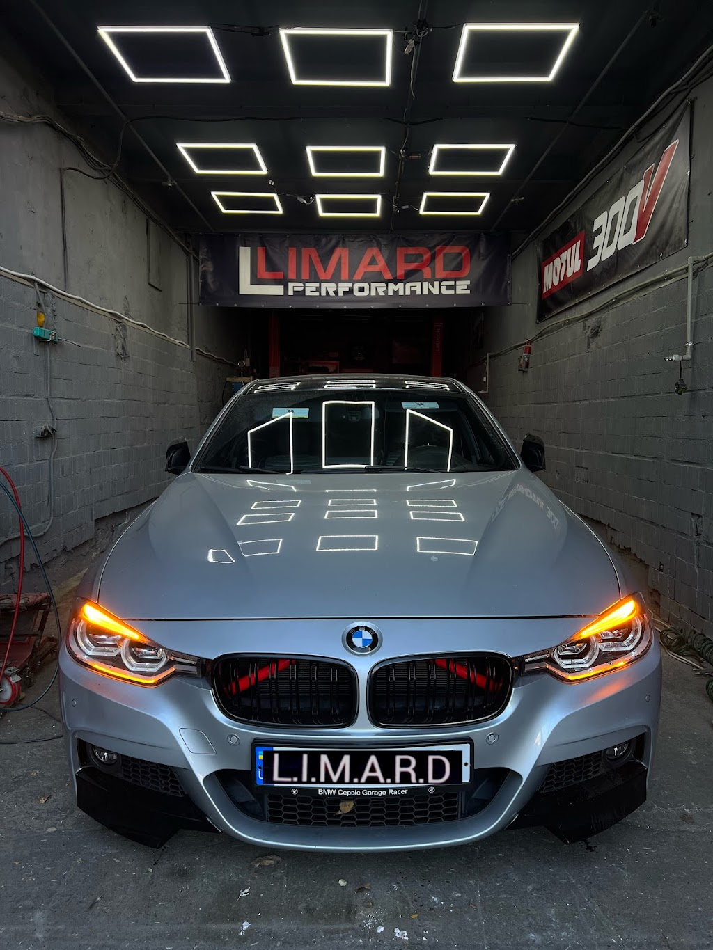LIMARD