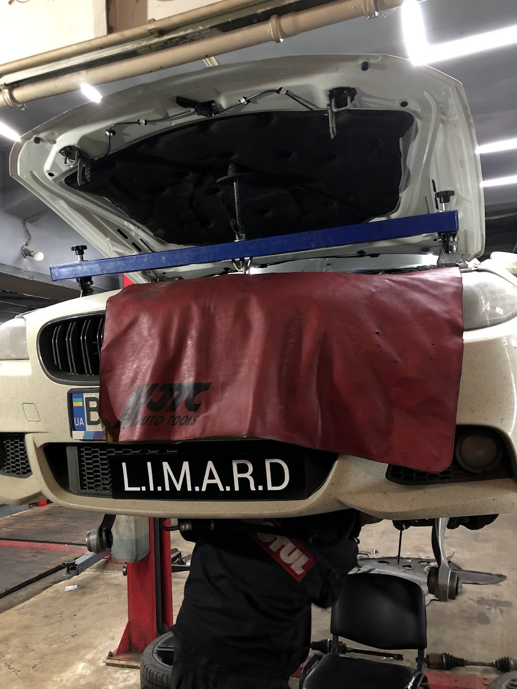 LIMARD