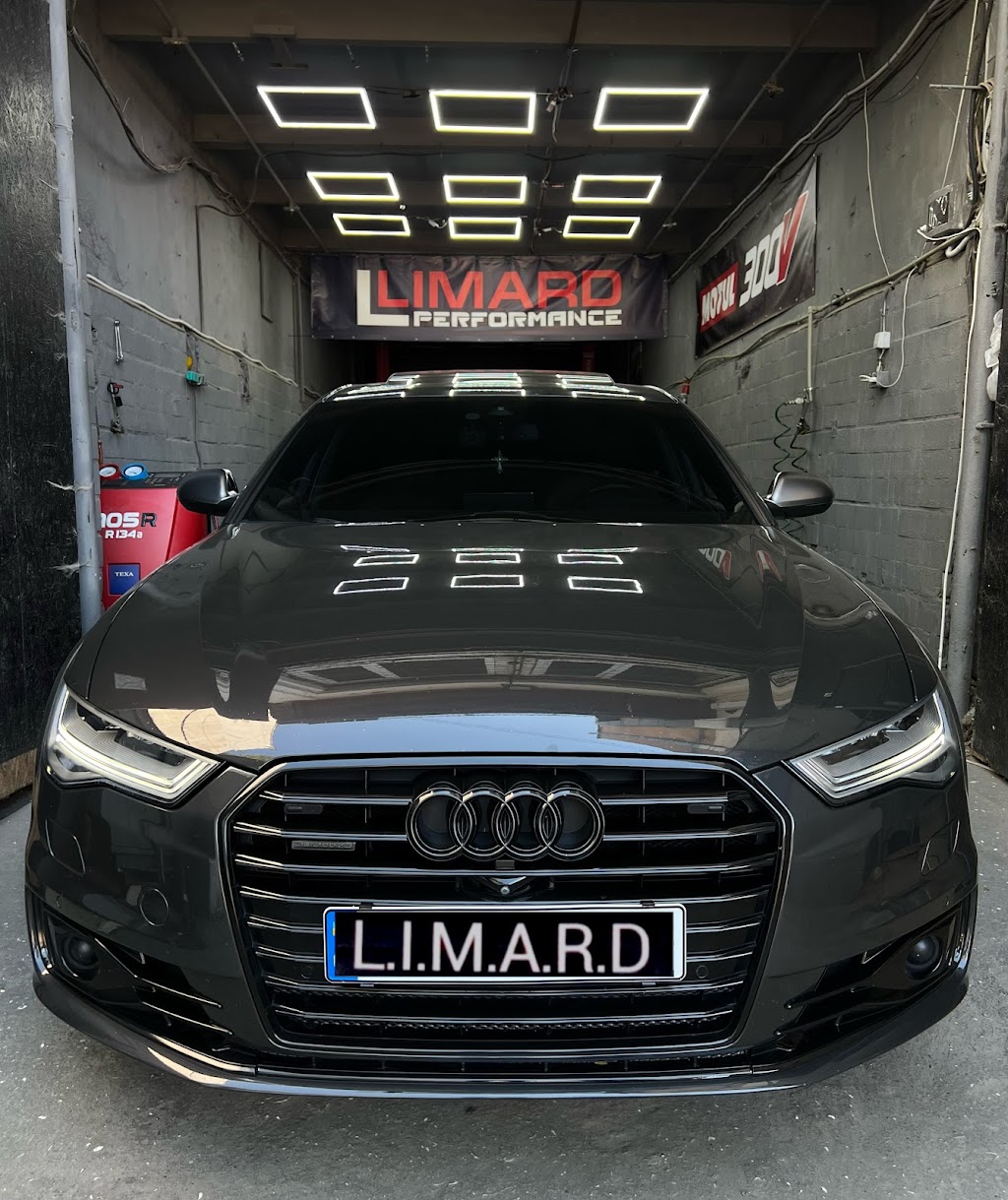LIMARD