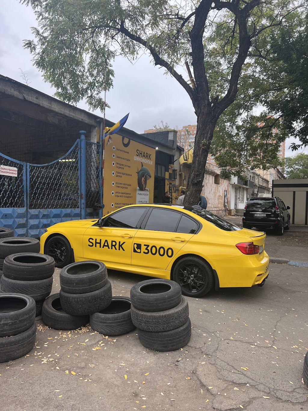 Shark – шиномонтаж