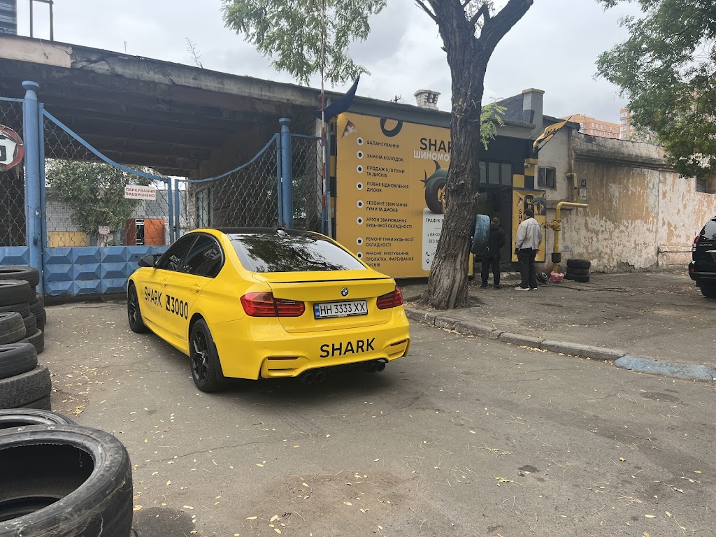 Shark – шиномонтаж