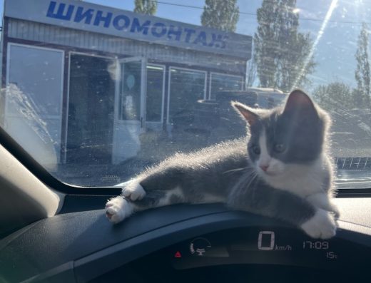 Шиномонтаж, Харьков