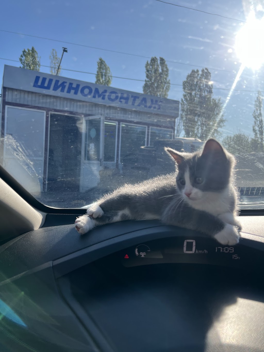 Шиномонтаж, Харьков