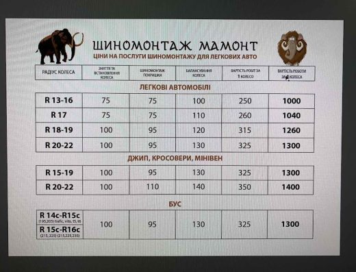 Шиномонтаж на Гайдамацькій