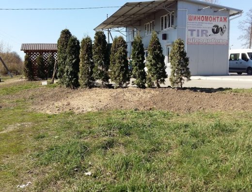 Шиномонтаж Панорама