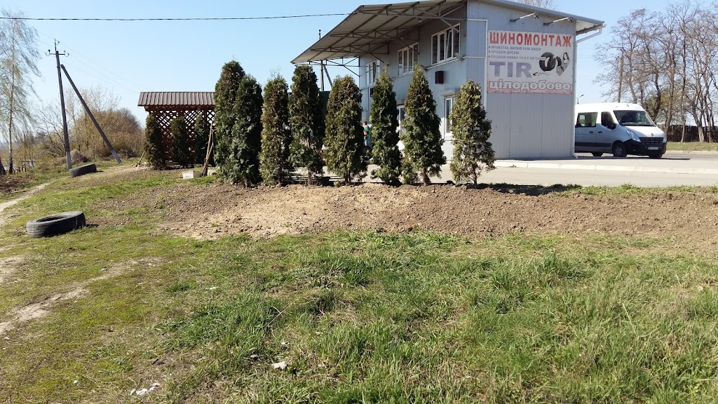 Шиномонтаж Панорама
