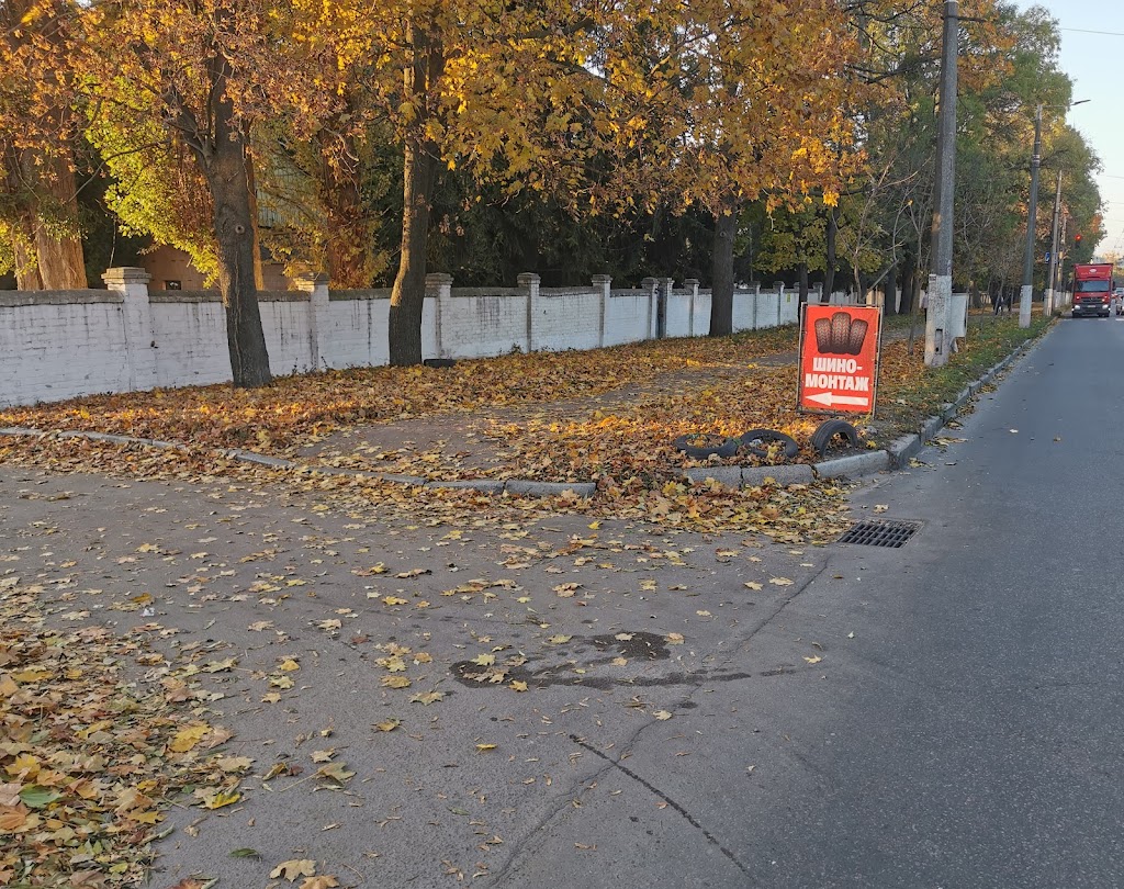 Шиномонтаж та заправка автокондиціонерів