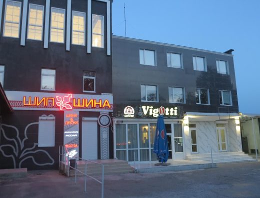 Шипшина