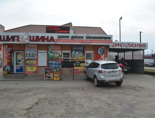 Шипшина