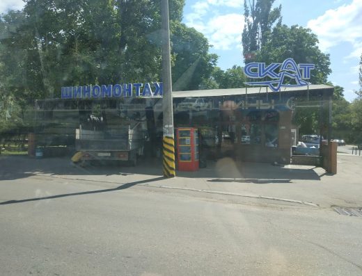 Скат