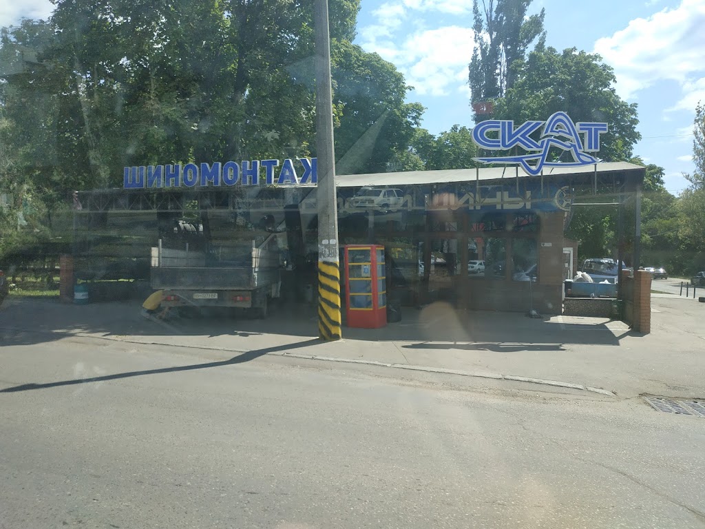 Скат