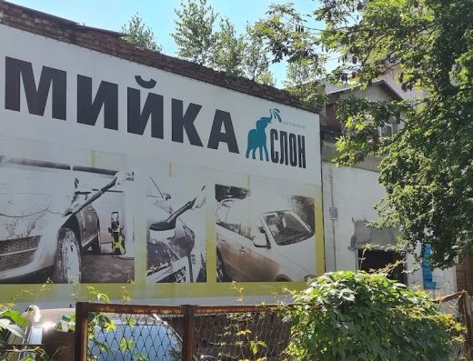 Слон