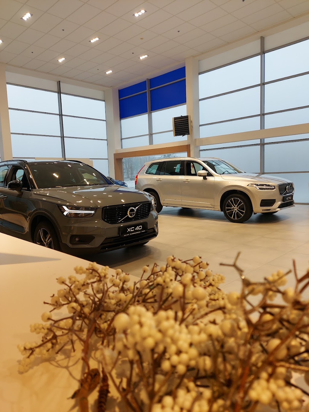 Volvo Car – Полтава
