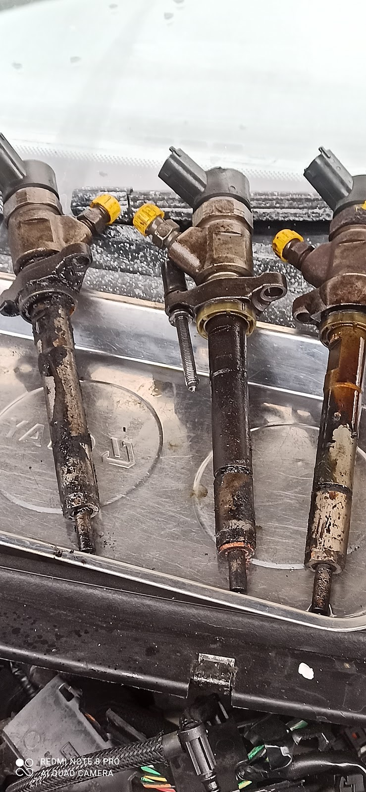 АвтохаусЖитомир