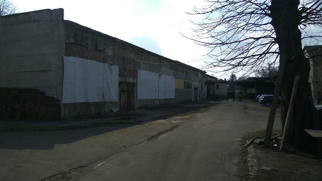 Авто Клініка